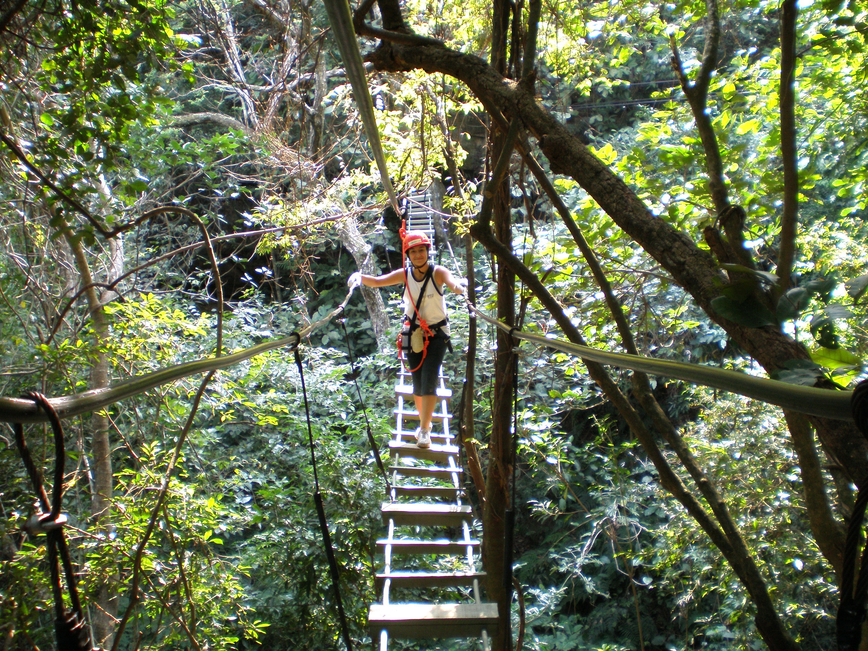Hanging bridge