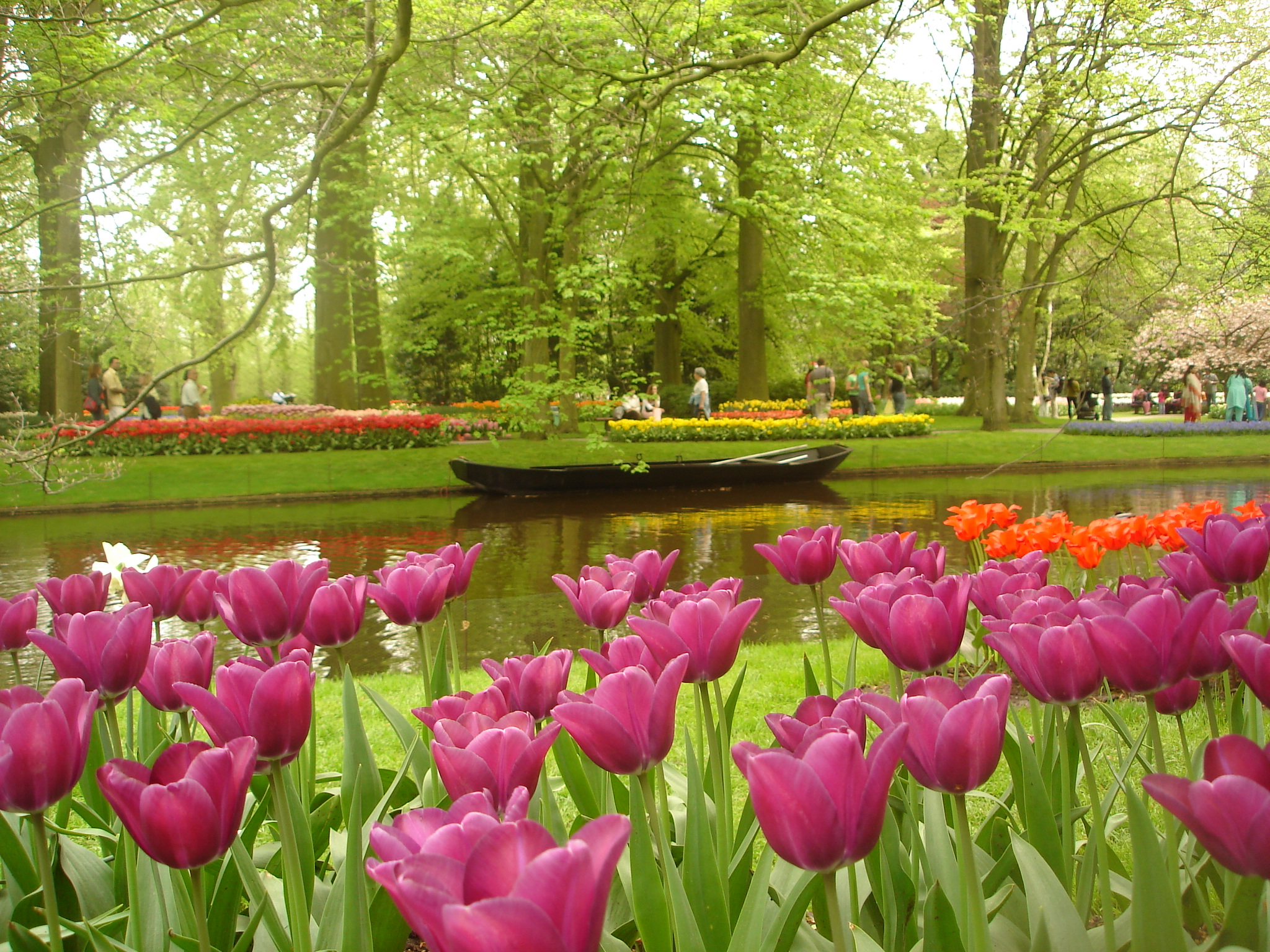 A small boat in the Keukenhof garden, with tulips in the foreground.