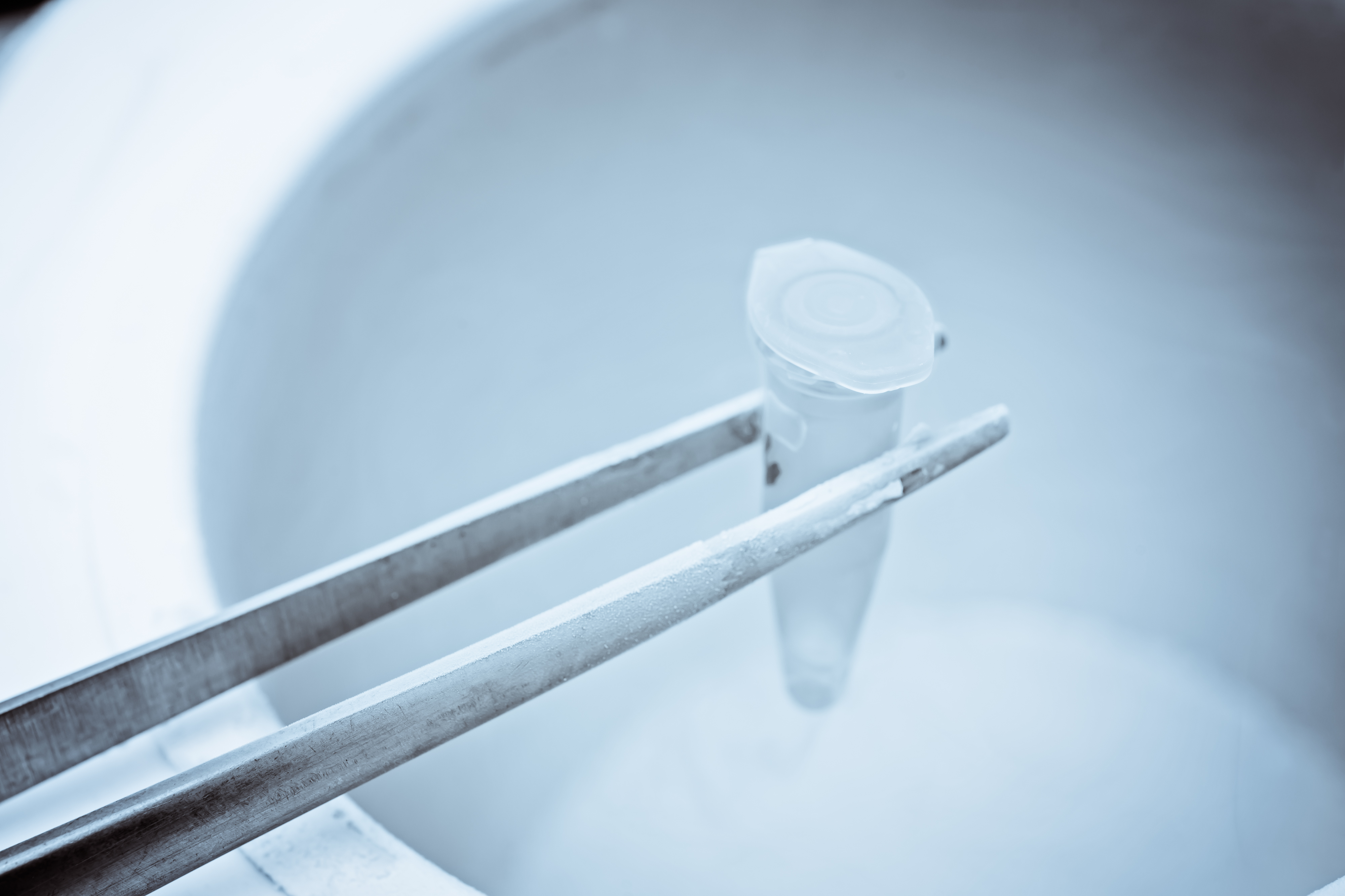 Test tube in liquid nitrogen representing cryopreservation of reproductive samples, commonly collected and maintained by sperm banks