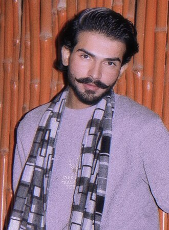 Muhammad Usman Malik