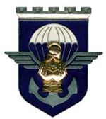 17e_régiment_du_génie_parachutiste.JPG 17e_régiment_du_génie_parachutiste.JPG