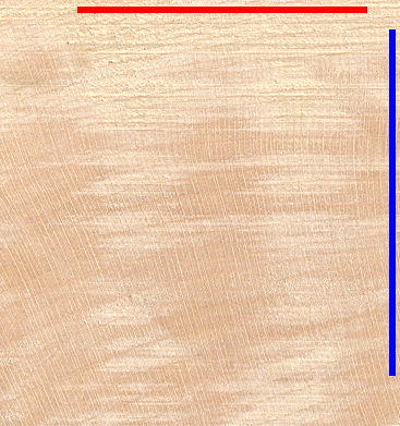 Hardwood (Maple), endgrain view