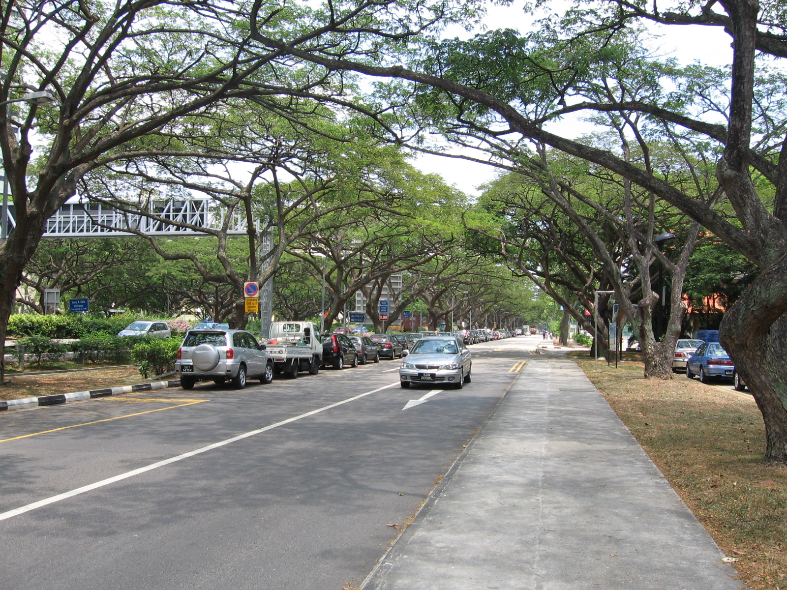 East Coast Park Service Road