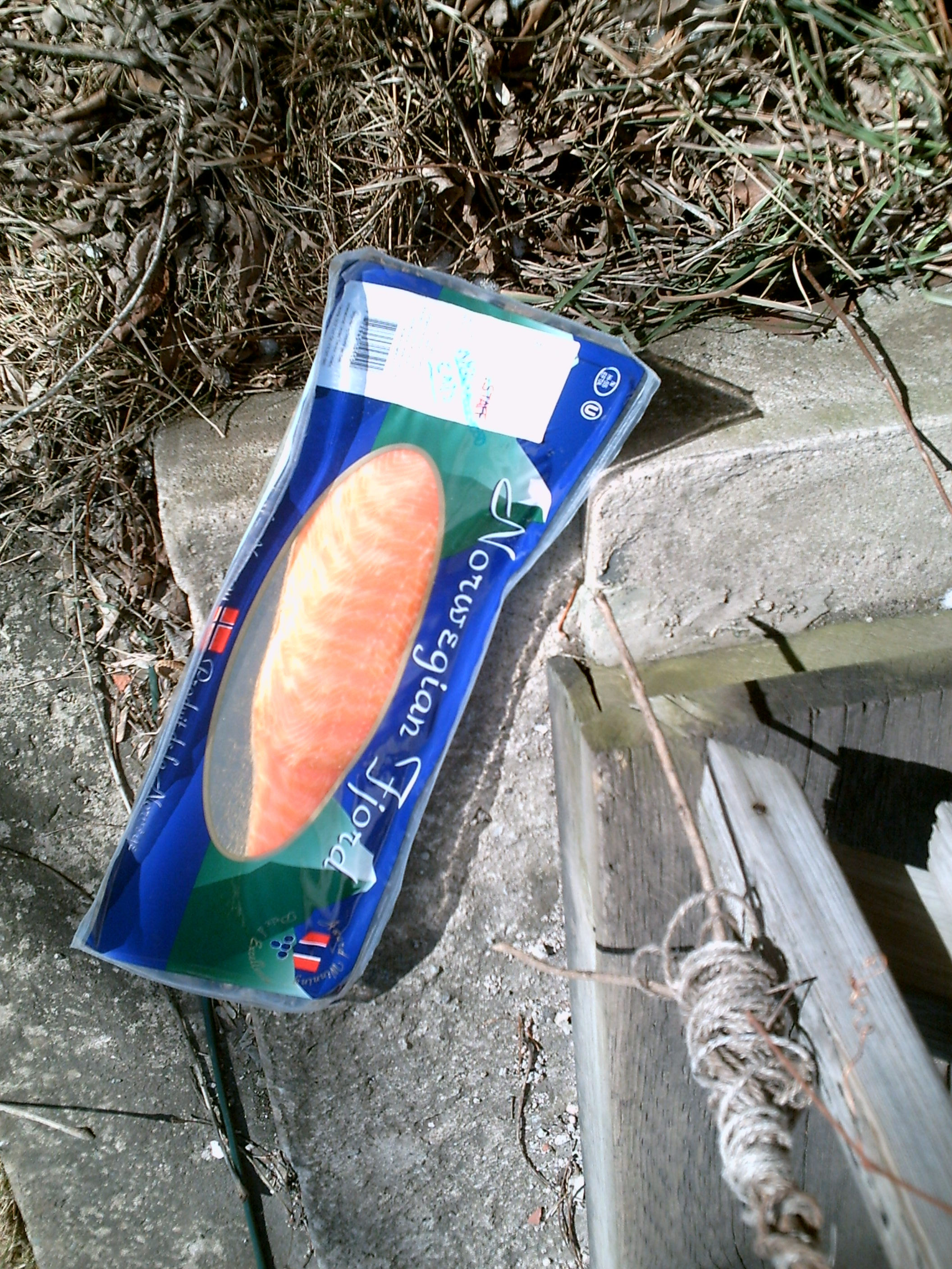 Photograph of the Norwegian Salmon Incident