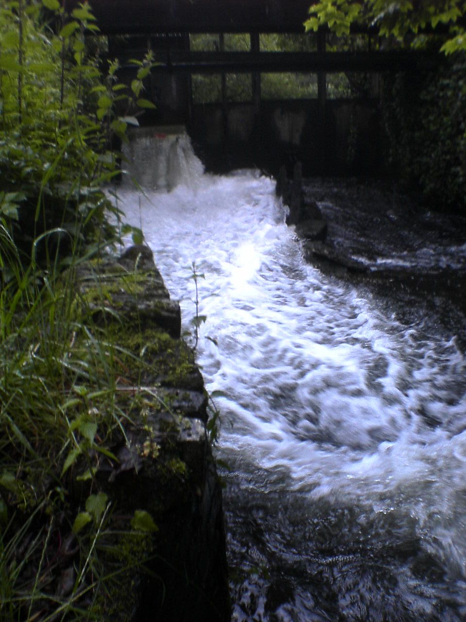 Side sluice wave