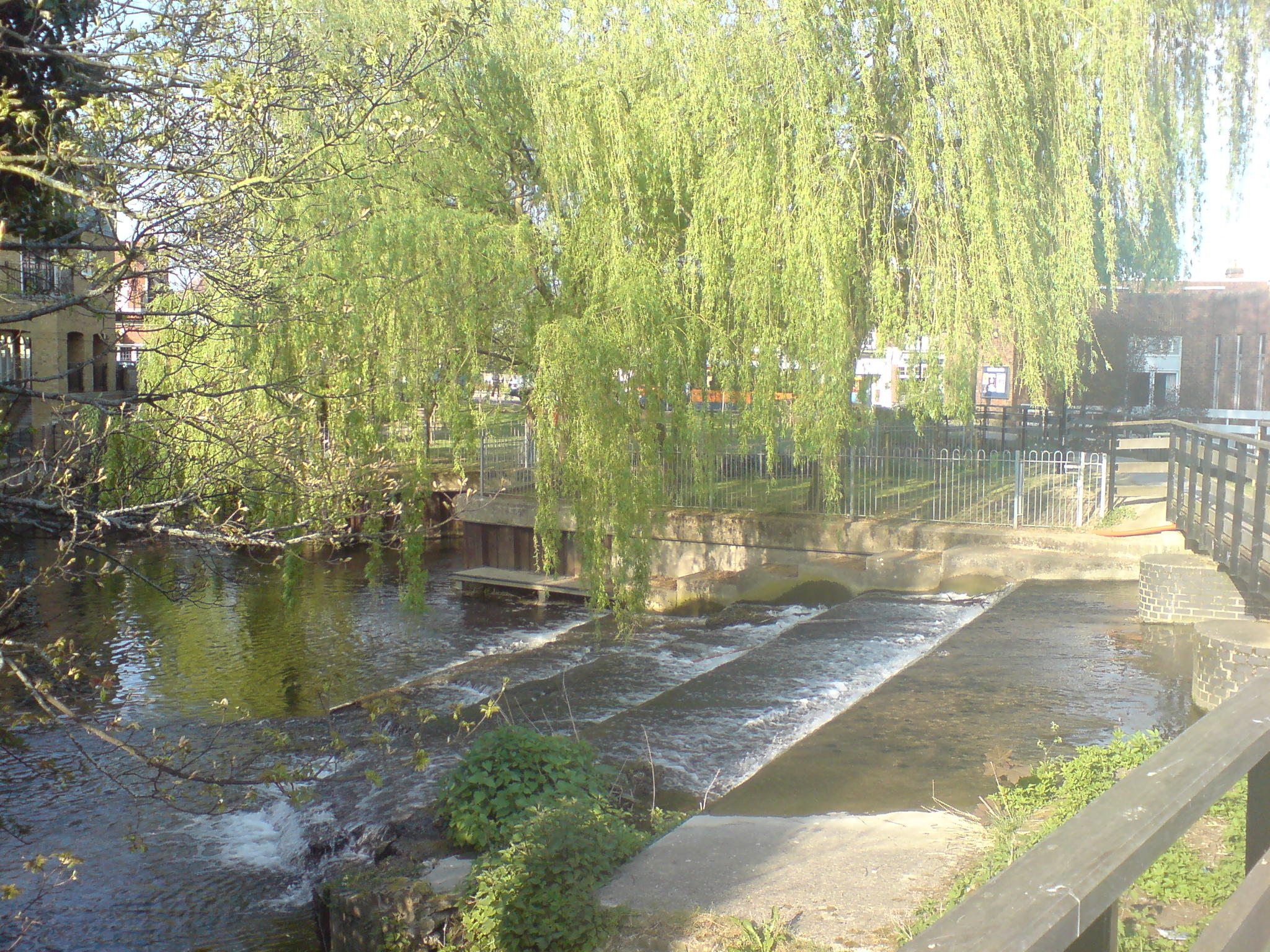 Stepped drop during the summer