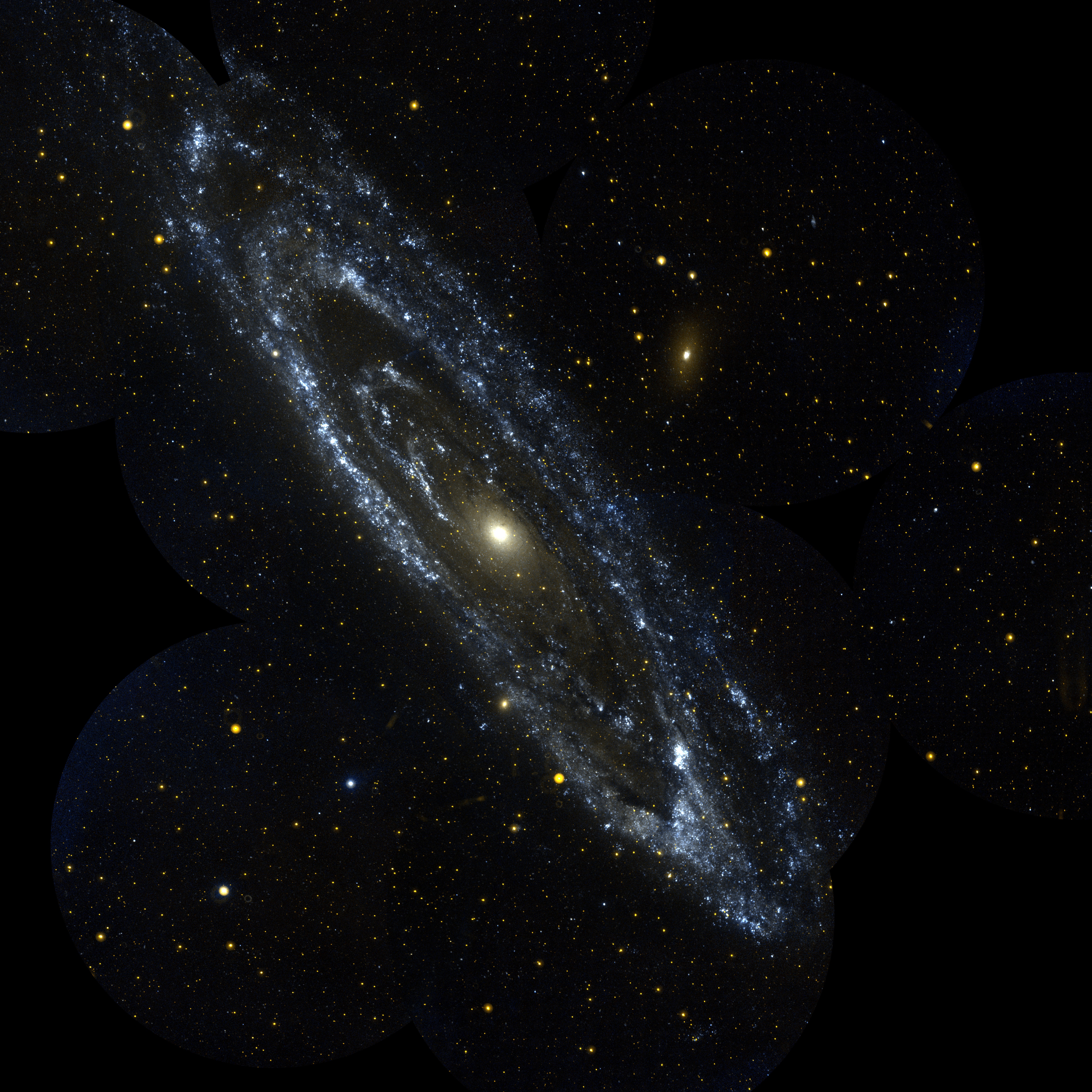 Andromeda Galaxy, a spiral galaxy in the local group, imaged in ultraviolet light.
