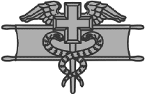 ExpertMedBadge.gif