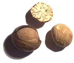 Nutmeg seeds