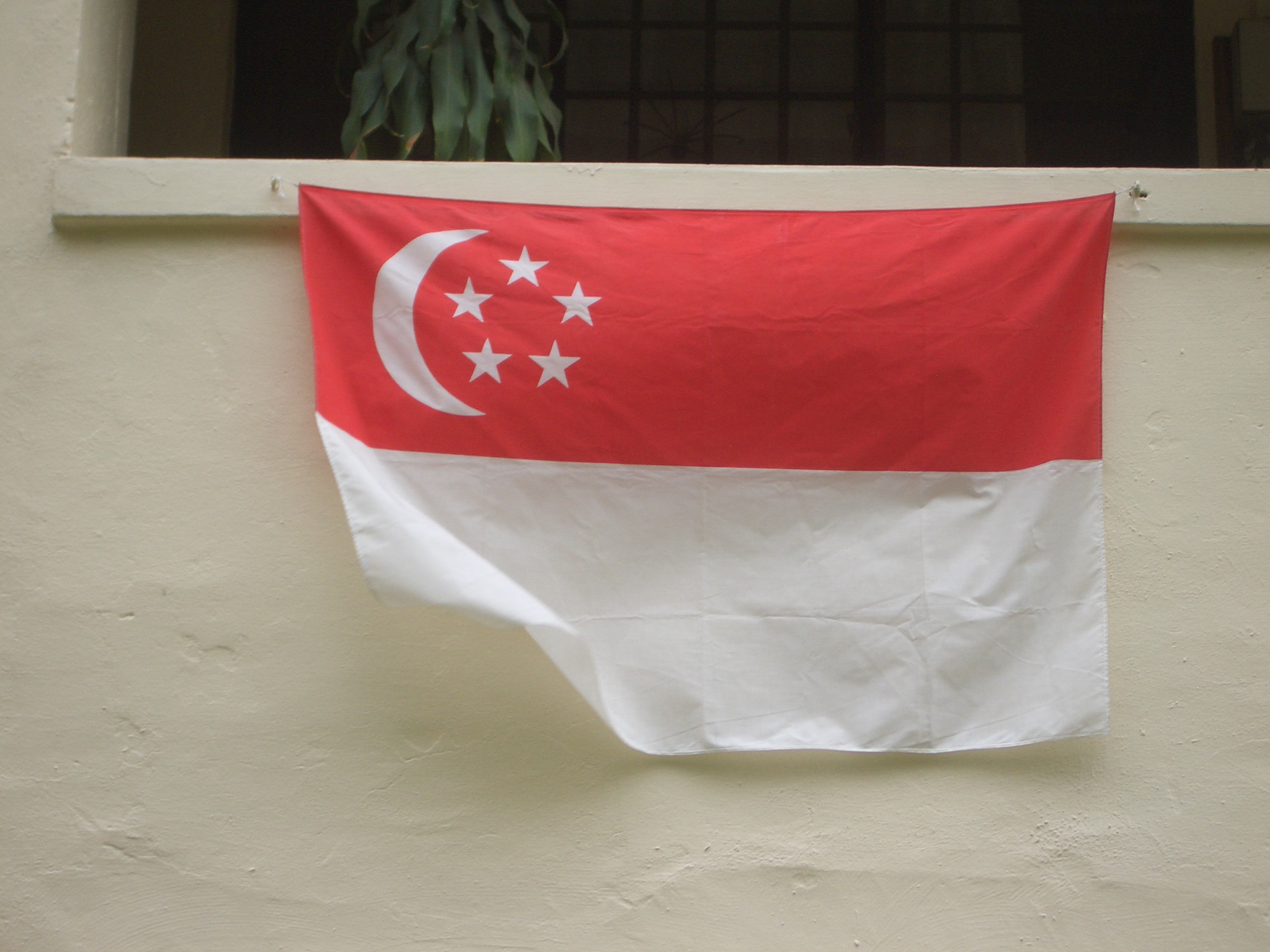 The national flag displayed underneath a window