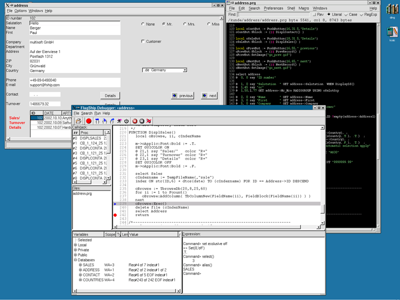 FlagShip environment   Executing an application, including the embedded source-code debugger