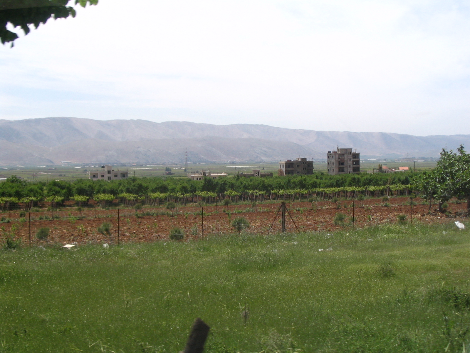 Vineyards near Zahle, in the central Beqaa Valley where the project ends at