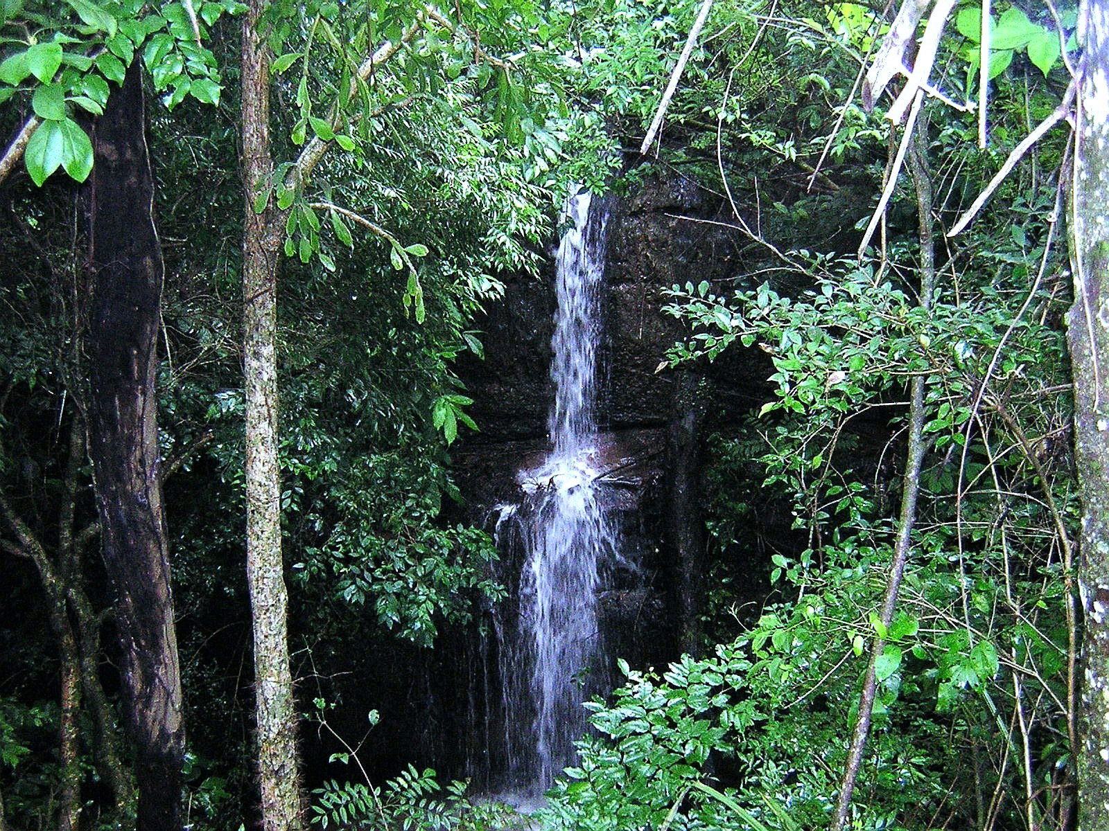 Salto Piroy