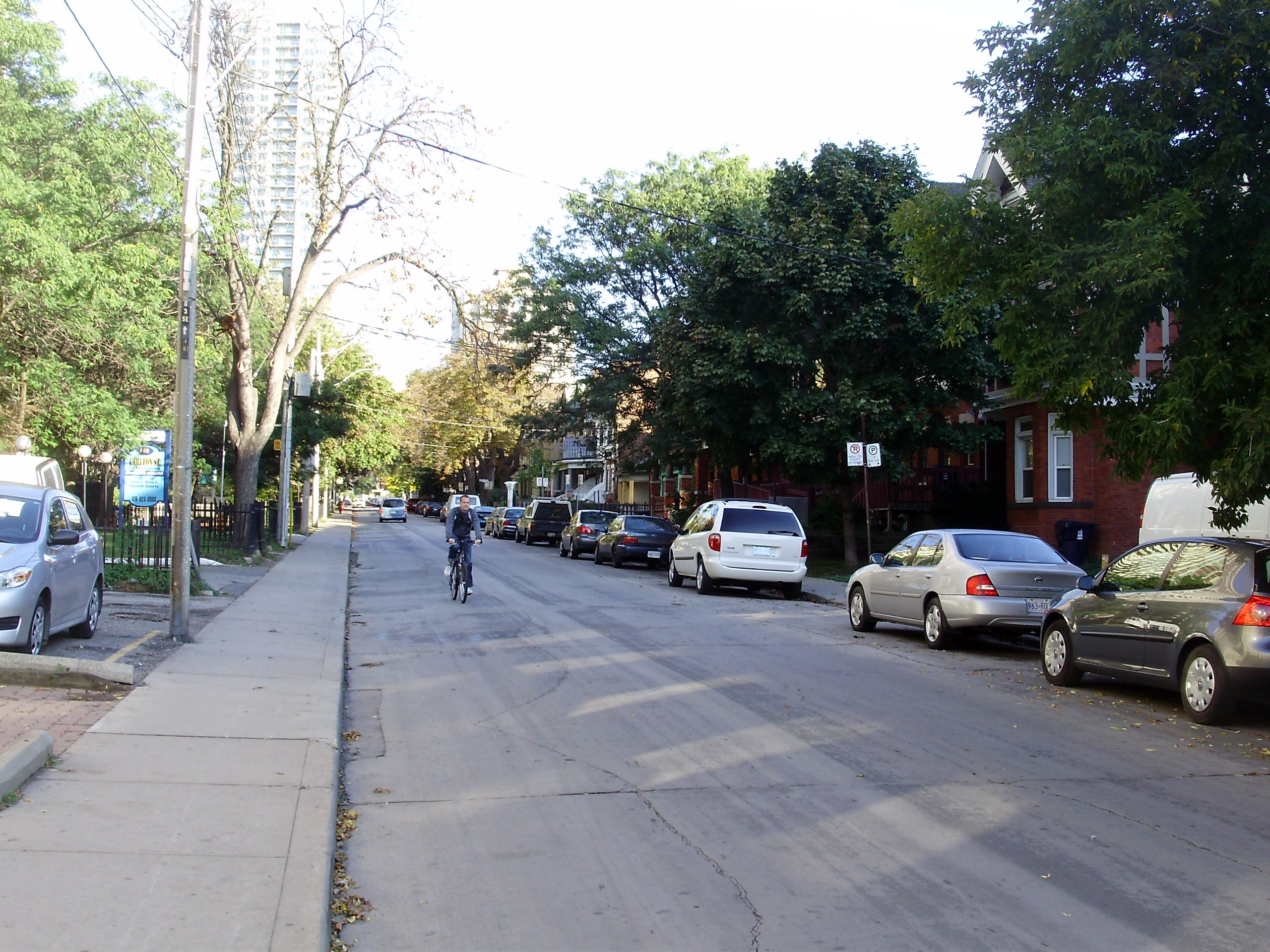 Looking north up tree-lined Homewood