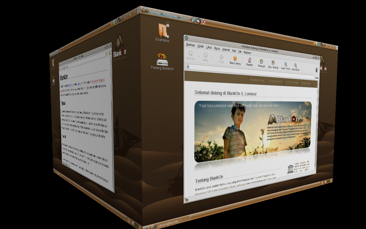 Compiz on BlankOn