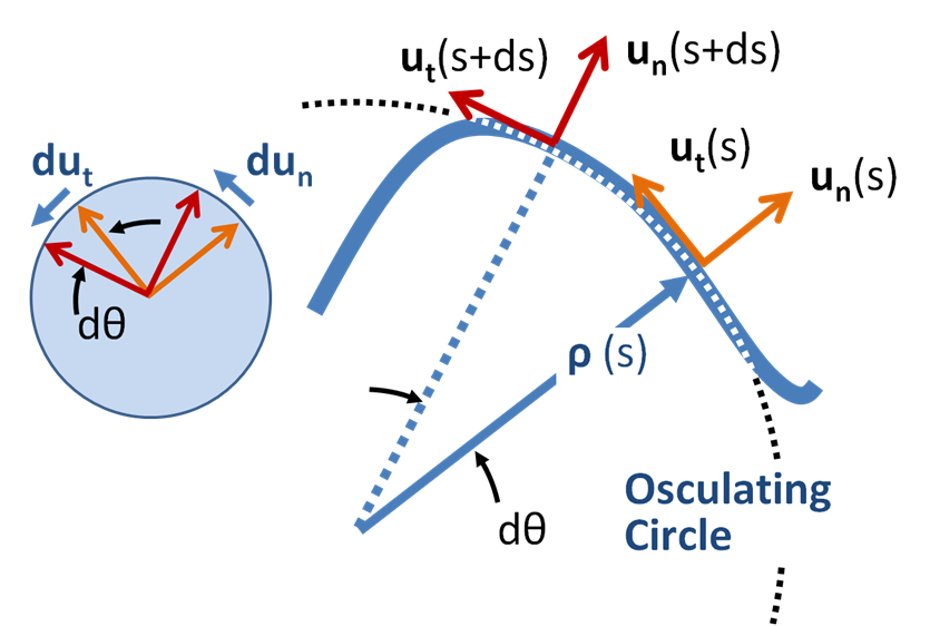 Figure 1: Local coordinate system for planar motion on a curve. Two different positions are shown for distances s and s + ds along the curve. At each position s, unit vector un points along the outward normal to the curve and unit vector ut is tangential to the path. The radius of curvature of the path is ρ as found from the rate of rotation of the tangent to the curve with respect to arc length, and is the radius of the osculating circle at position s. The unit circle on the left shows the rotation of the unit vectors with s.