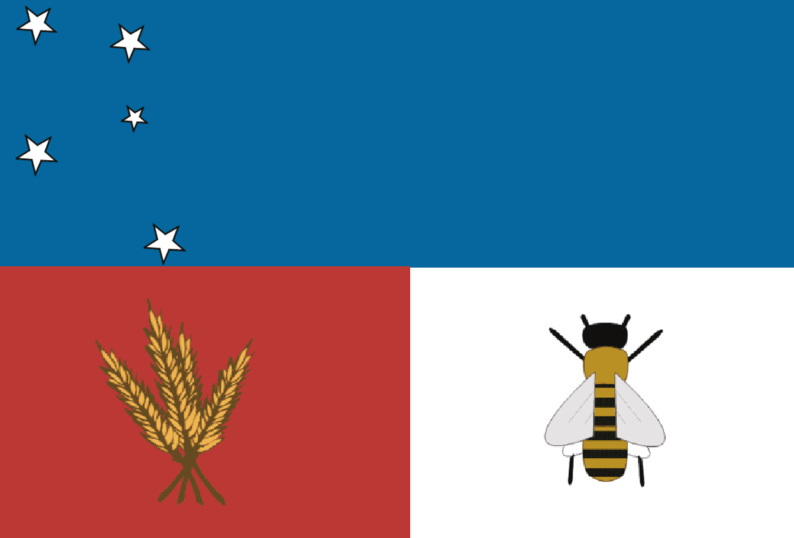 Flag_of_Colonia_Department.PNG