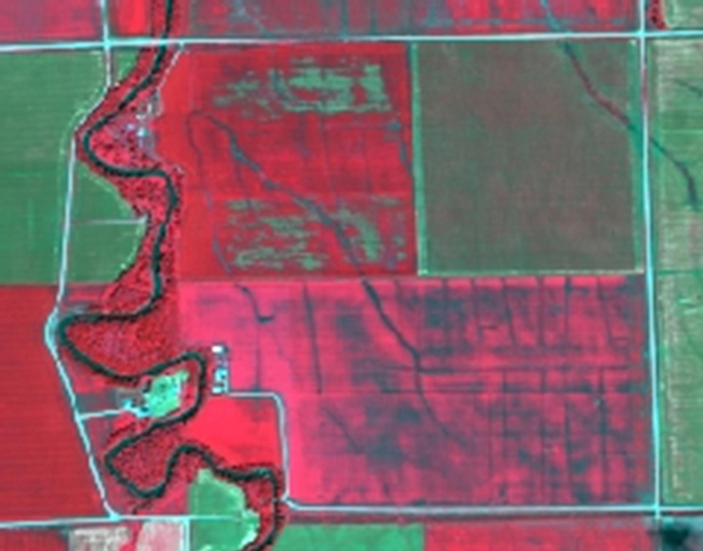 Simulated AgCam imagery