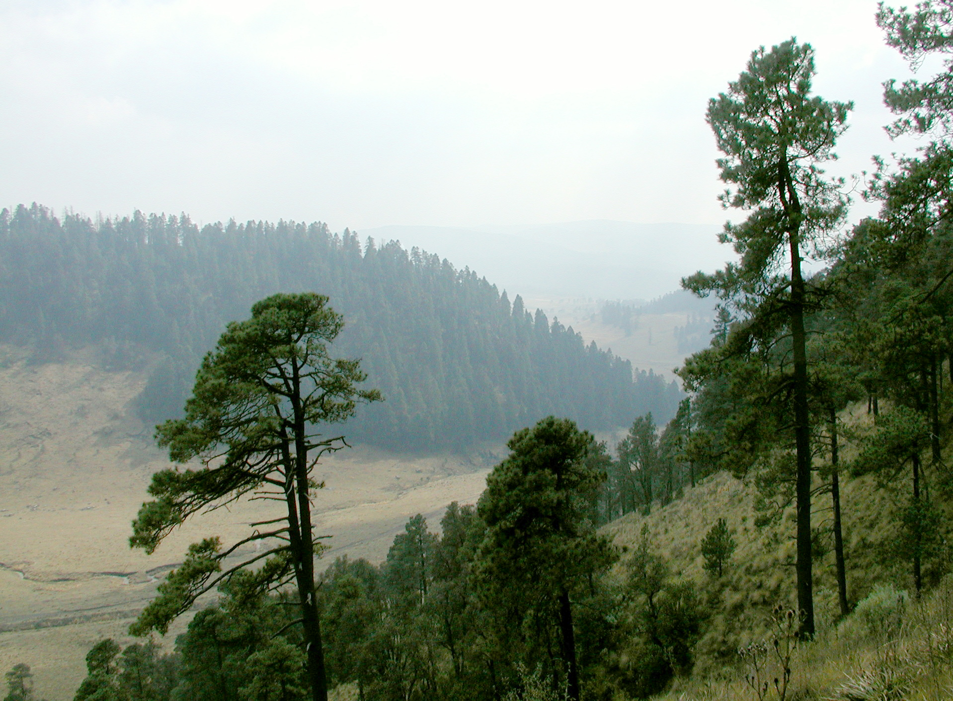 Sierra Madre Mountain range