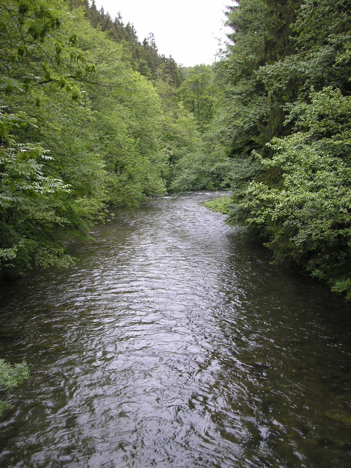 Schwarza river at Schwarzburg. In the canon, part of this scene would become a depression in which the ROF circle about Grantville is located, albeit in a local elevation mismatch.