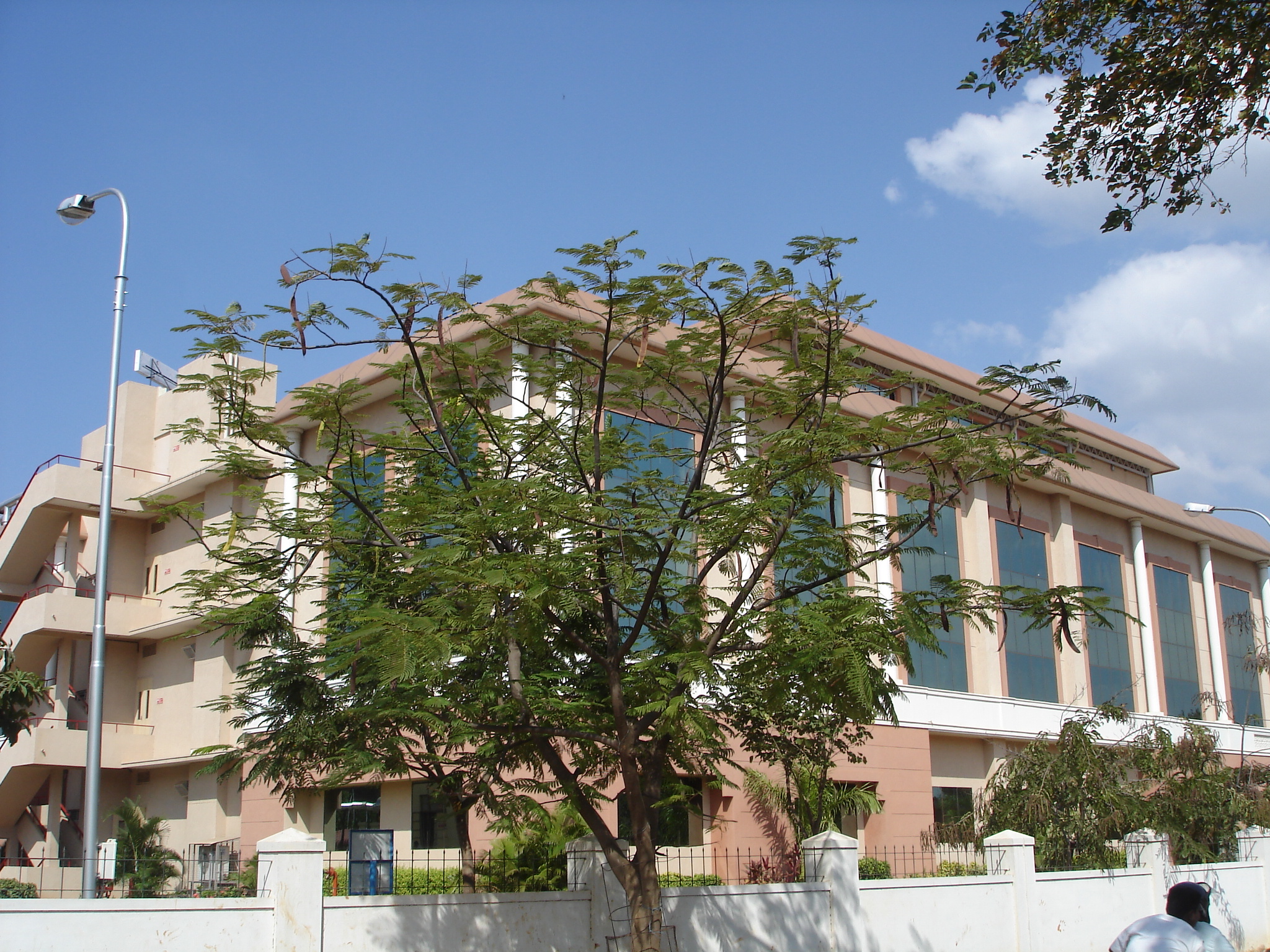 Honey well office at Thirupparankundram, Madurai