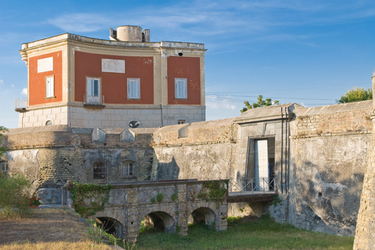 Istituto di Genetica Vegetale, Portici, Italy.