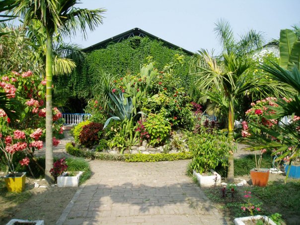 A scenic view of the school Library