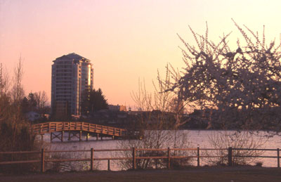 Mill_Lake_3.jpg