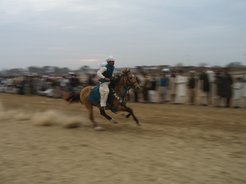 Horse and rider in action, this animal went on to win Horse and rider in action, this animal went on to win
