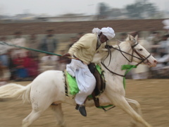 Tent pegging aids in hand to eye co-ordination and keeps one fit even in later years