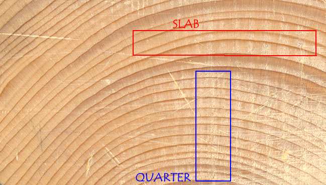 Softwood (common framing stud, endgrain view)