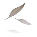 Chyrp_logo.png