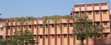 Main Branch