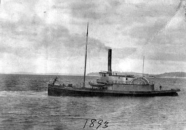 Cyrus Walker in 1893