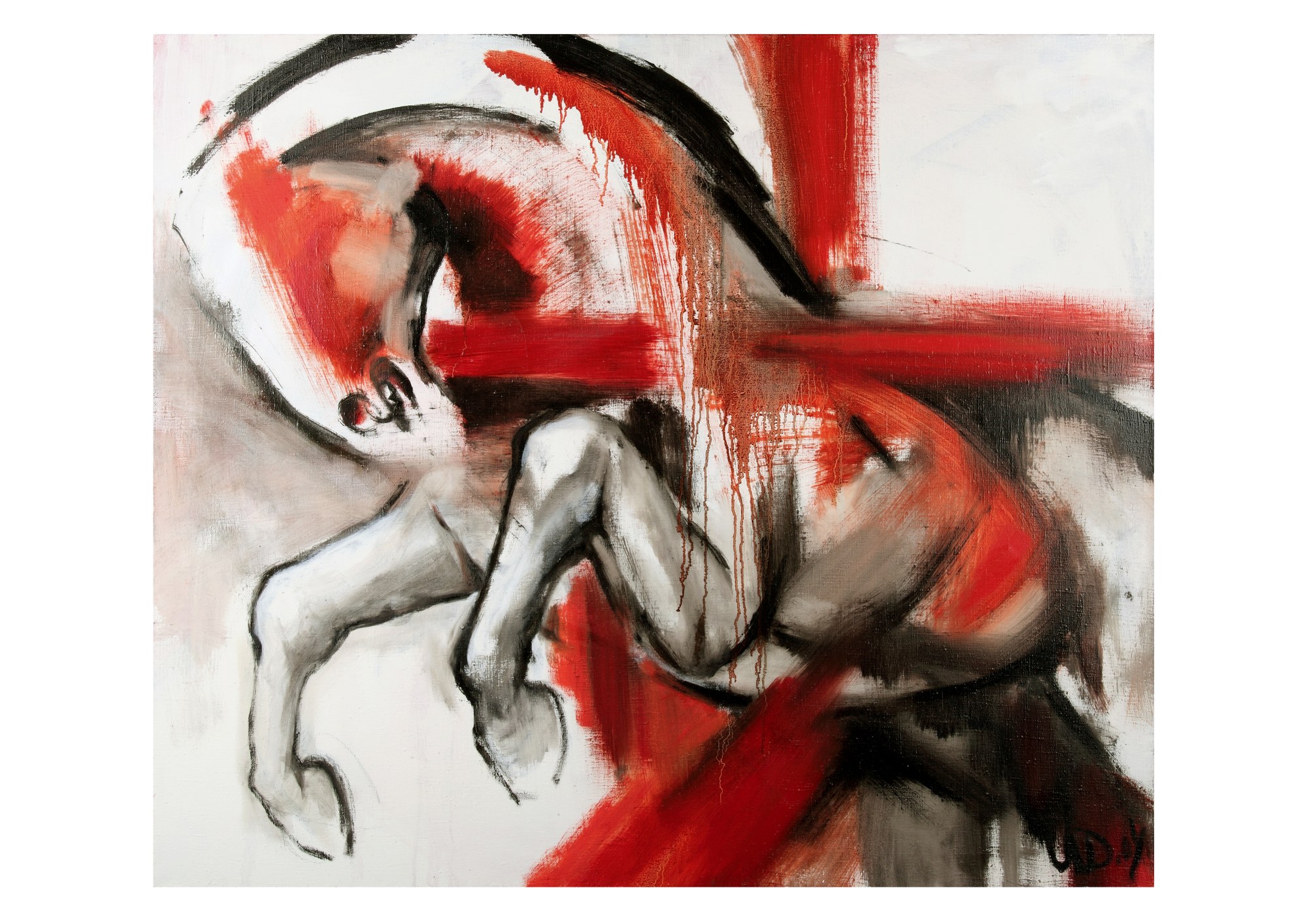 Wild Horse