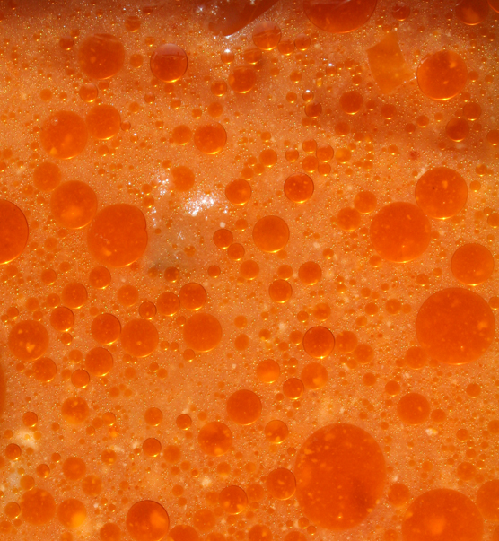 The famous sauce of a fresh kalliopi