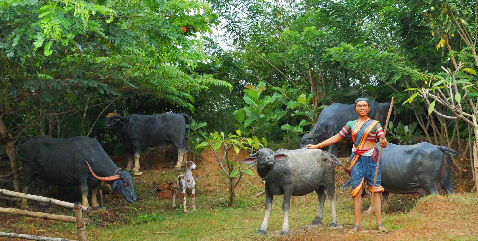 Cattle Rearing, Grameen Panchamruthas Cattle Rearing, Grameen Panchamruthas