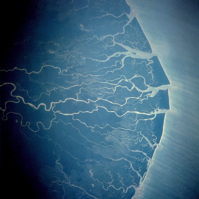 The Niger Delta as viewed from space