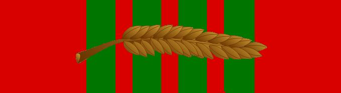 Croix_de_guerre_1939-1945_with_palm.jpg