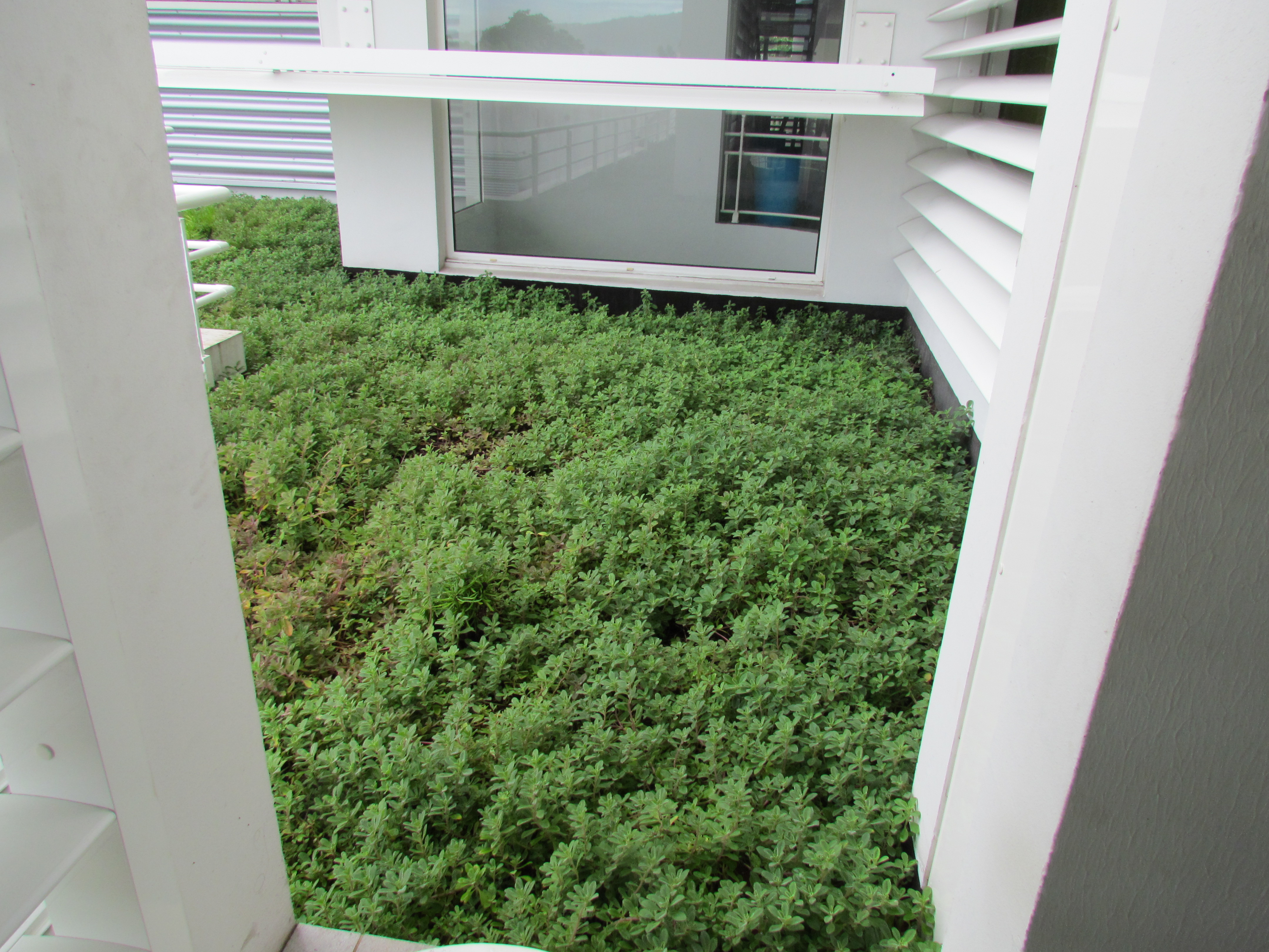The presence of ground and vegetation allows freshening up the air without storing warmth The presence of ground and vegetation allows freshening up the air without storing warmth