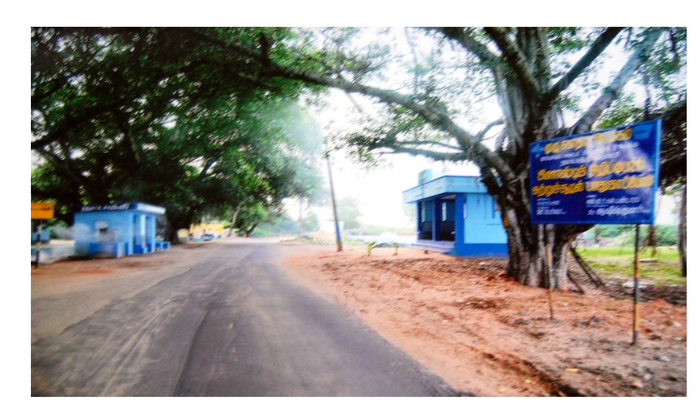 Nattathi Village in Tuticorin district Nattathi Village in Tuticorin district