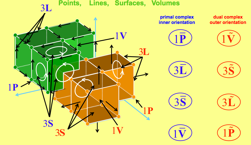 Figure 4. Left) A three-dimensional cell complex and its dual; right) the classification of its space elements.