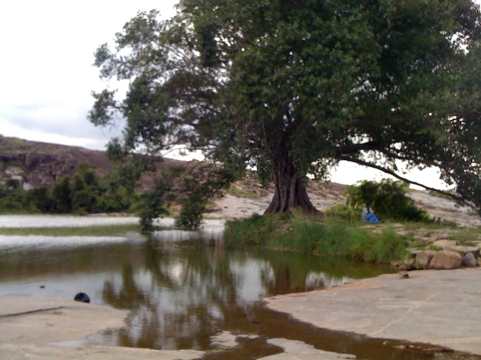 Thamara Gunta (Lotus Lake)