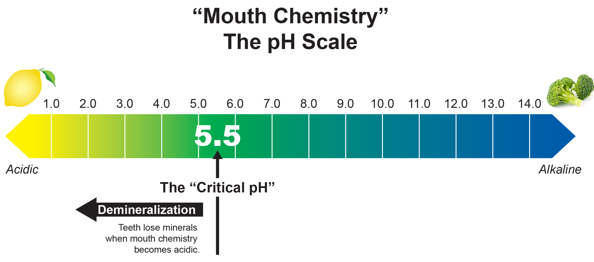 Diagram depicting minerals are removed from teeth in Acidic Conditions with the pH below 5.5 Diagram depicting minerals are removed from teeth in Acidic Conditions with the pH below 5.5
