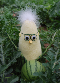 Frank N. Foode