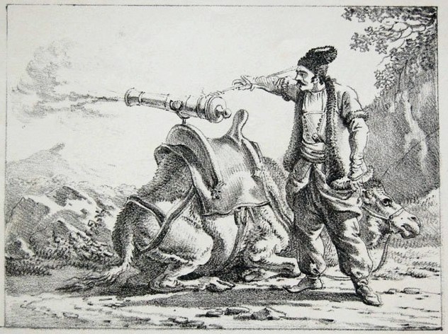 Humayun introduced different types of Zamburak which were in use by the Mughal Empire. Humayun introduced different types of Zamburak which were in use by the Mughal Empire.