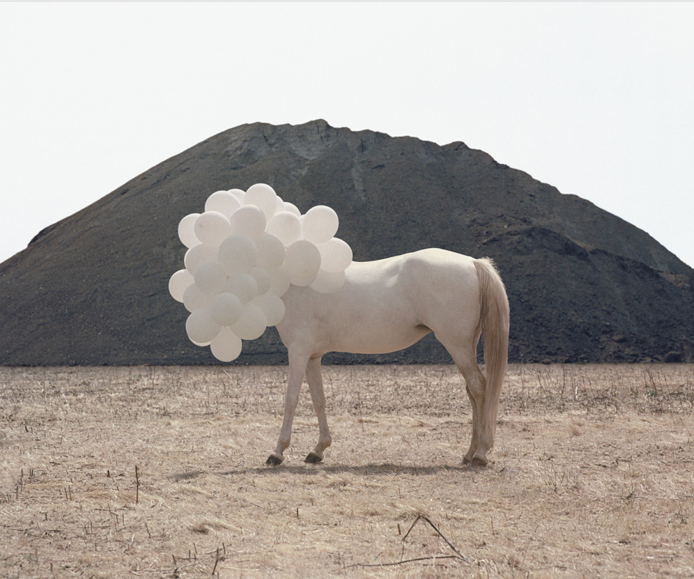 Andrea Galvani, 2005.