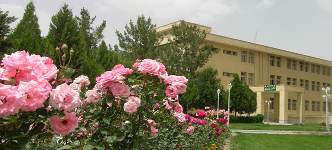 Nursing School Building in Azad University of Falavarjan
