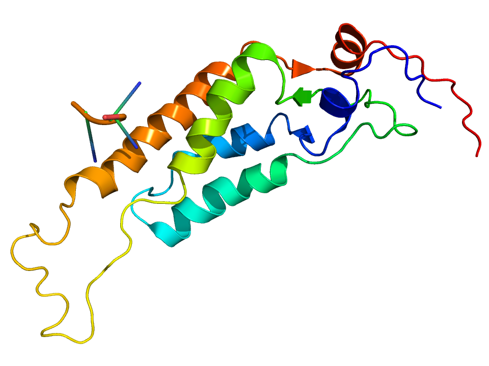 Structure of the Tobacco mosaic virus coat protein.