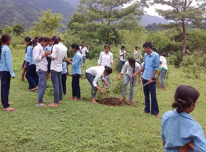 Students planting plants below the famous Ground of SCHSS.